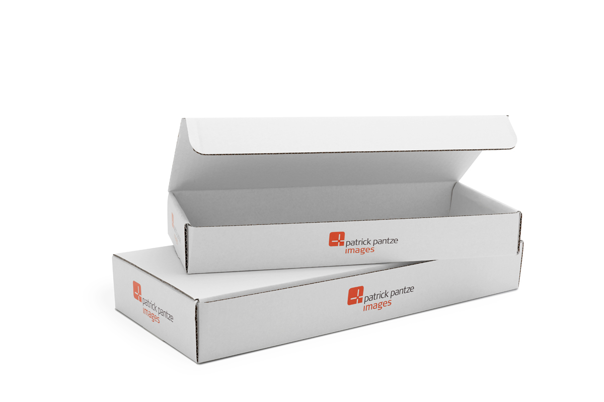 Karton Verpackung EB-Welle*